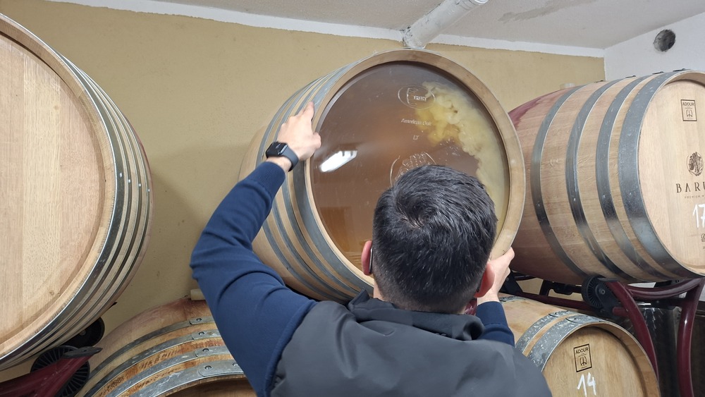 Vinarija Barun, Krašić