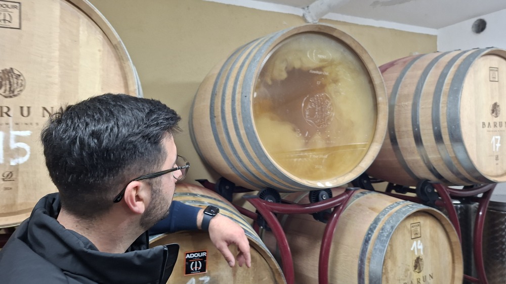 Vinarija Barun, Krašić