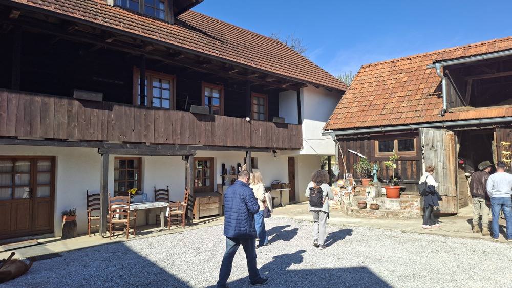 Ranch Felker, jahanje konja, konji