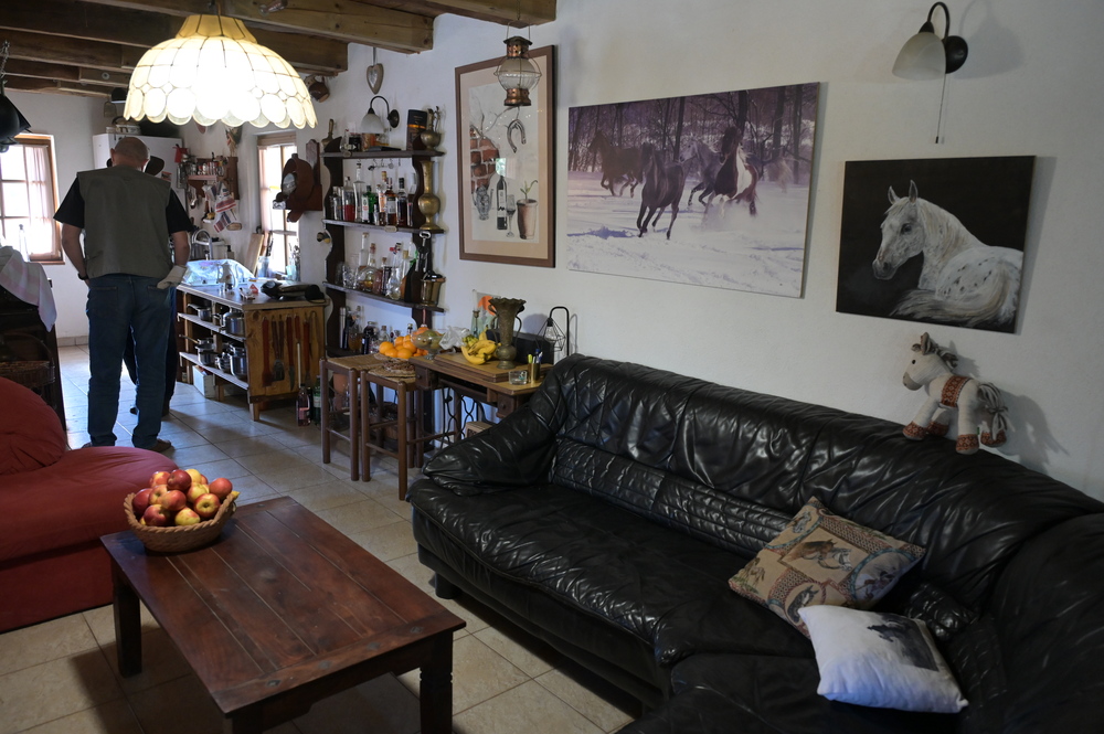 Ranch Felker, jahanje konja, konji