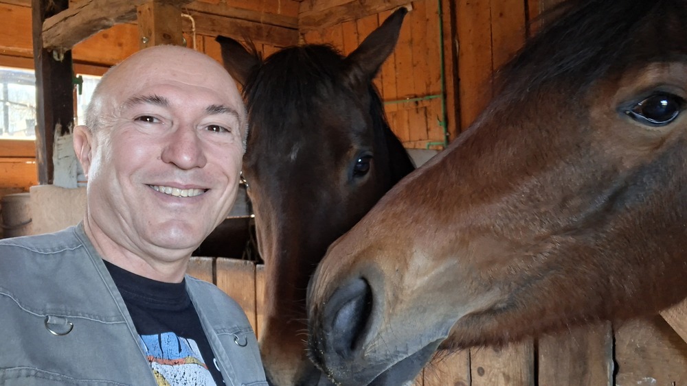 Ranch Felker, jahanje konja, konji