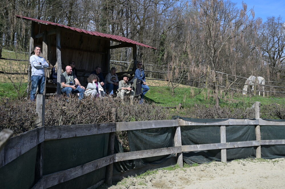 Ranch Felker, jahanje konja, konji