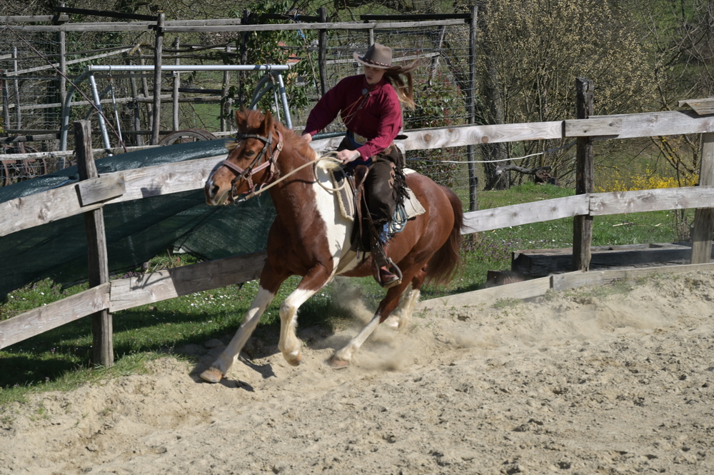 Ranch Felker, jahanje konja, konji